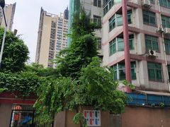 -文德路小学(南校区)