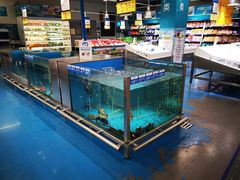 -麦德龙(湖里店)