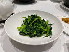 高山豆苗-南麓·浙里(外滩店)