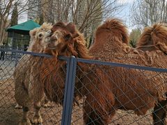 -长白岛森林公园