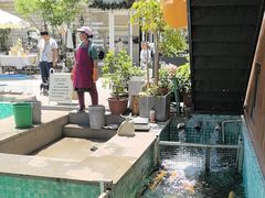-京北渔家傲