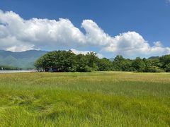 -大九湖