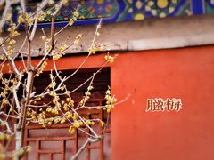 -国家植物园