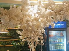 -付掌柜在成都·热炒砂锅集(金禾店)