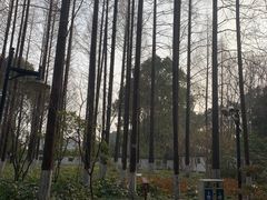 -瀛洲公园