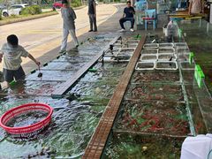 -景好海鲜餐厅(大鹏必选旅游店)