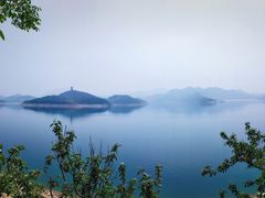 -望湖烤鱼
