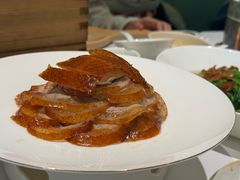-眉州东坡·熊猫主题餐厅(枫蓝店)