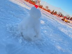 -绿野森林乐园冰雪季