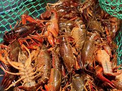 -二钳洞庭虾蟹·江湖菜(成都鹭岛店)