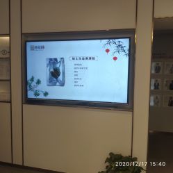 -紫琪尔·胸部养护护理