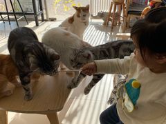 -平行世界·猫咖(首经贸店)