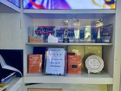 -天猫养车贴膜轻改·蓝电(优匹康桥东路店)