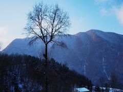 -王顺山国家森林公园