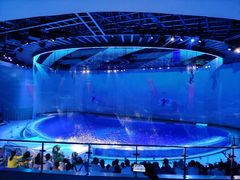 -上海海昌海洋公园