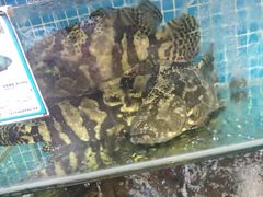 -范饭椰林川湘味海鲜·椰子鸡(三亚湾椰梦长廊店)