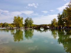 -金塔沙漠胡杨林景区
