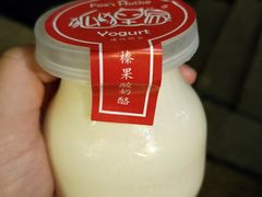 榛果味酸奶酪-狐狸家·酸奶酪专门店(平江路店)