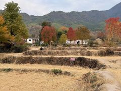 -塔川景区