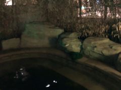 -大连金石滩绿发温泉假日酒店