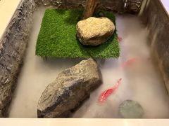 -上足·影院足道·SPA(红岭店)