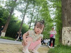 -黄海国家森林公园