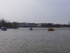 -上海长兴岛郊野公园