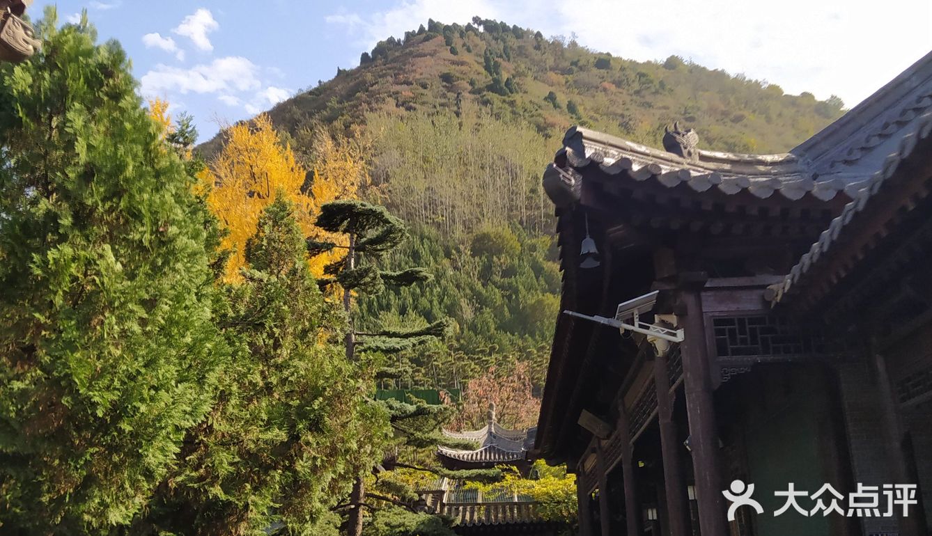 古观音禅寺  