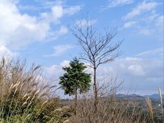 -丹山赤水风景名胜区