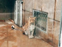 -西安秦岭野生动物园