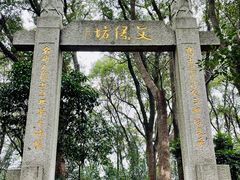 -上海佘山国家森林公园天马山园