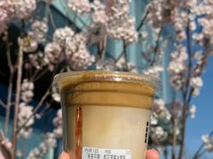 -高嶺咖啡(望京店)