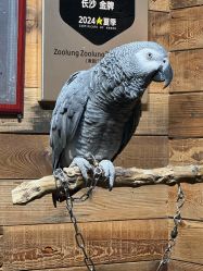 -Zoolung Zoolung动物主题公园(海信广场店)