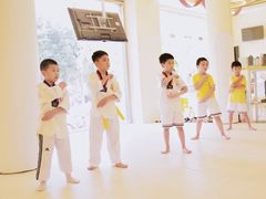 -勇气斑马·巴西柔术&跆拳道(浦东三林店)