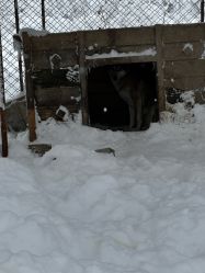-大秃顶子山