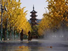 -龙华素斋(龙华路店)