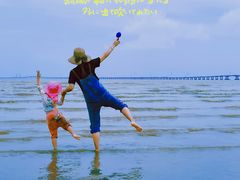 -南汇嘴观海公园