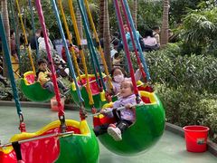 -南宫五洲植物乐园