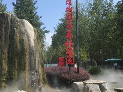 -合肥滨湖国家森林公园