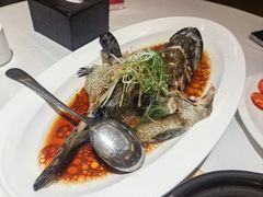 -万龙洲海鲜(安定门店)