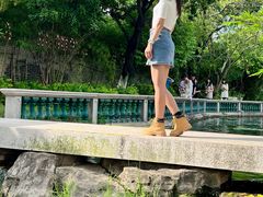 -碧江金楼