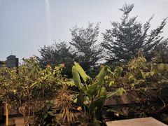 -马家斑.鲜鱼火锅(松湖万科店)