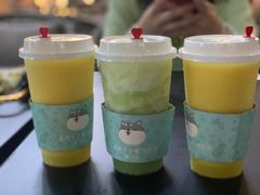 -野萃山·潮汕厚果汁(十亩地店)