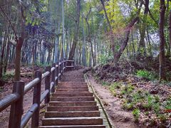 -上海佘山国家森林公园天马山园