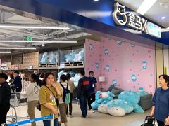 -盒马X会员店(上海森兰商都店)