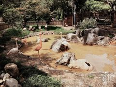 -昆明动物园