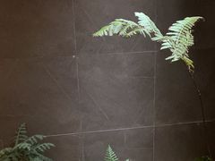 -翁暖茶馆(滨江东总店)