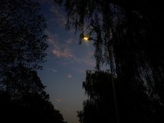 -艾溪湖湿地公园