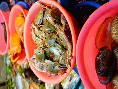 iphone_upload_pic-老三鱼仔店