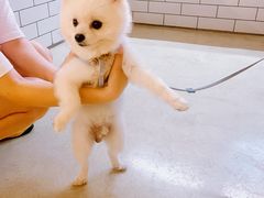 -小意思咖啡店(草桥店)